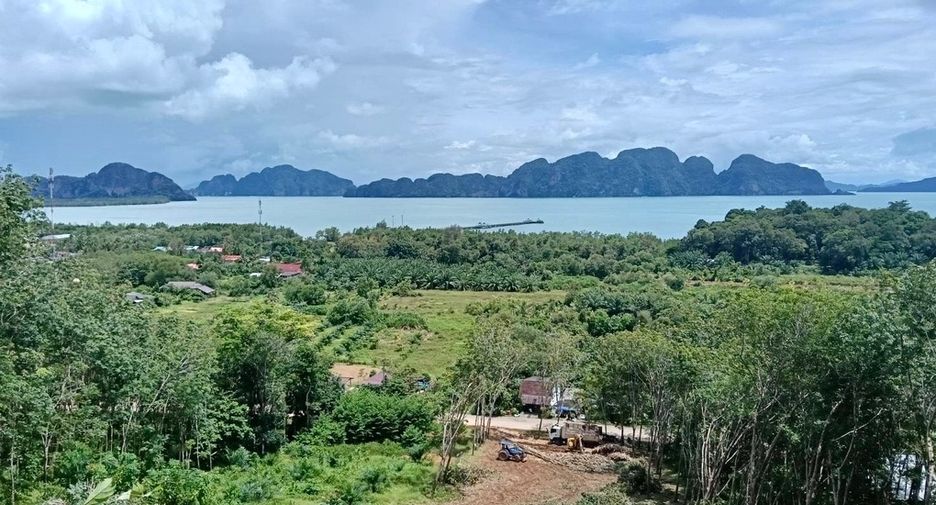 ขาย ที่ดิน ใน ตะกั่วทุ่ง, พังงา