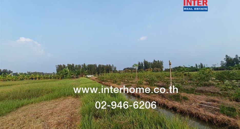 出售 土地 在 Phutthamonthon, Nakhon Pathom