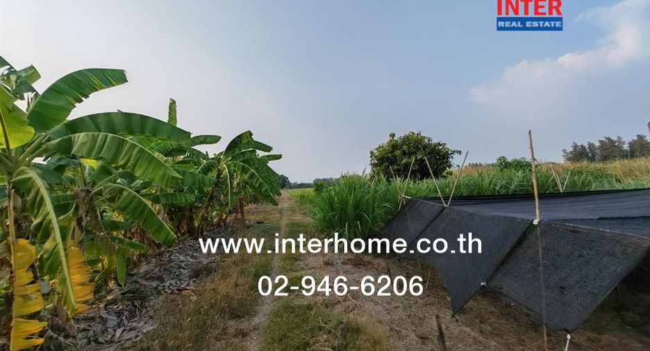 出售 土地 在 Phutthamonthon, Nakhon Pathom