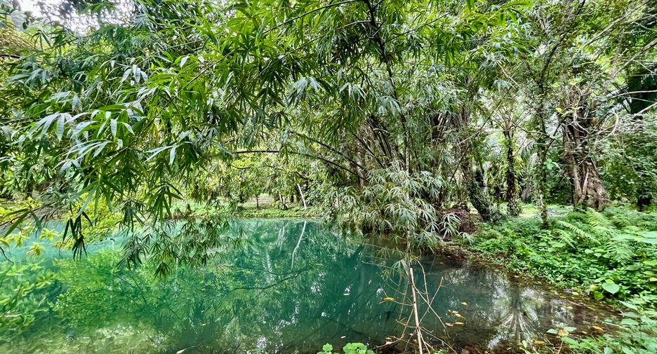 À vendre terrain à Mueang Krabi, Krabi