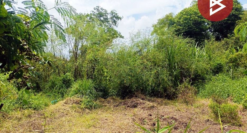 For sale land in Nong Chok, Bangkok