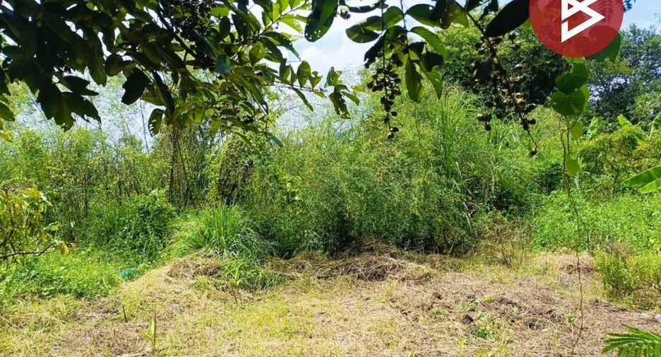 For sale land in Nong Chok, Bangkok