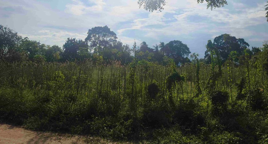 Terreno en venta en Ban Chang, Rayong