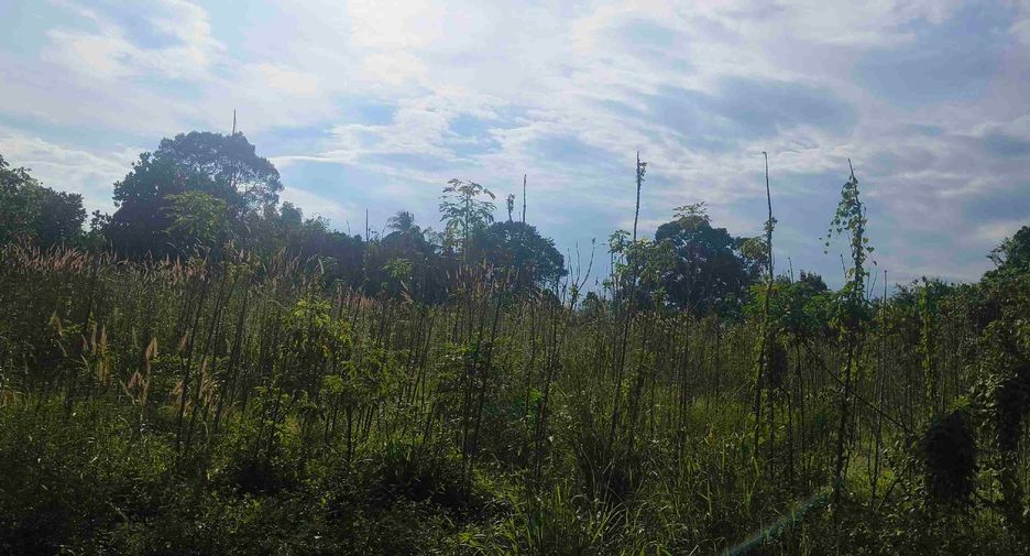 Terreno en venta en Ban Chang, Rayong