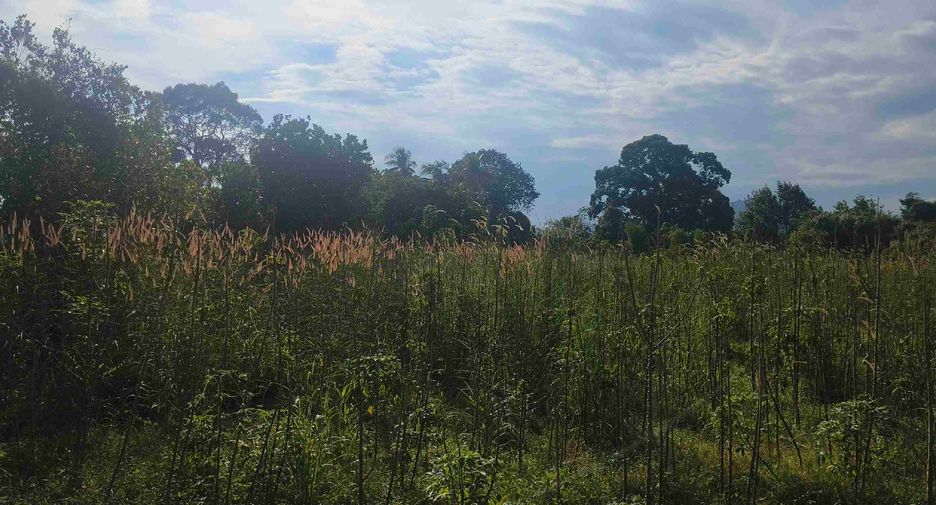 Terreno en venta en Ban Chang, Rayong