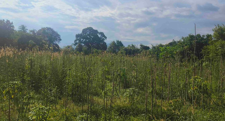 Terreno en venta en Ban Chang, Rayong