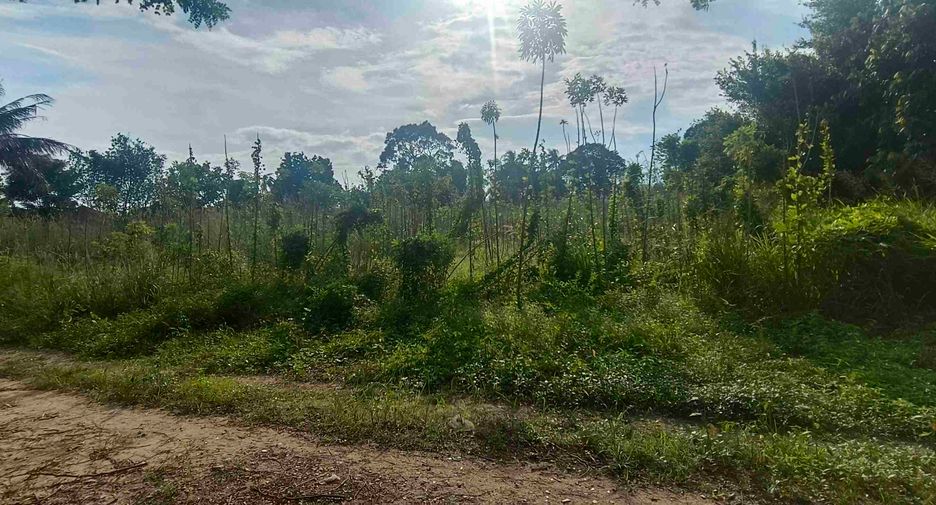 Terreno en venta en Ban Chang, Rayong