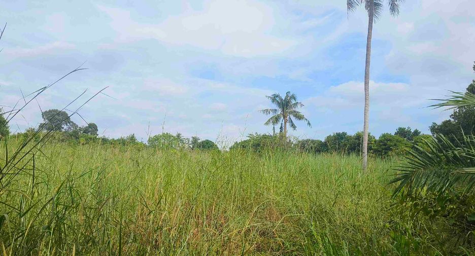 Terreno en venta en Ban Chang, Rayong