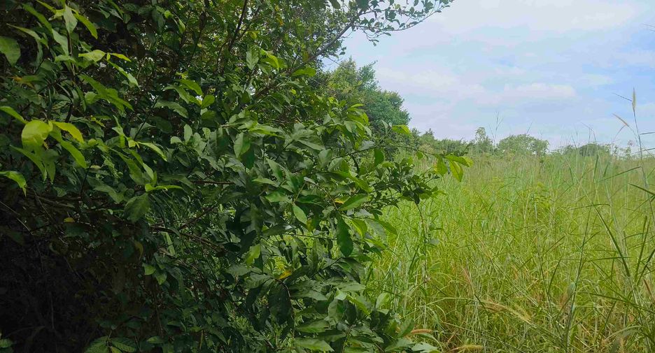 Terreno en venta en Ban Chang, Rayong