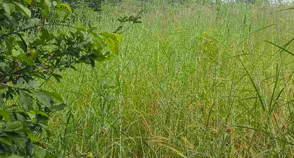 Terreno en venta en Ban Chang, Rayong