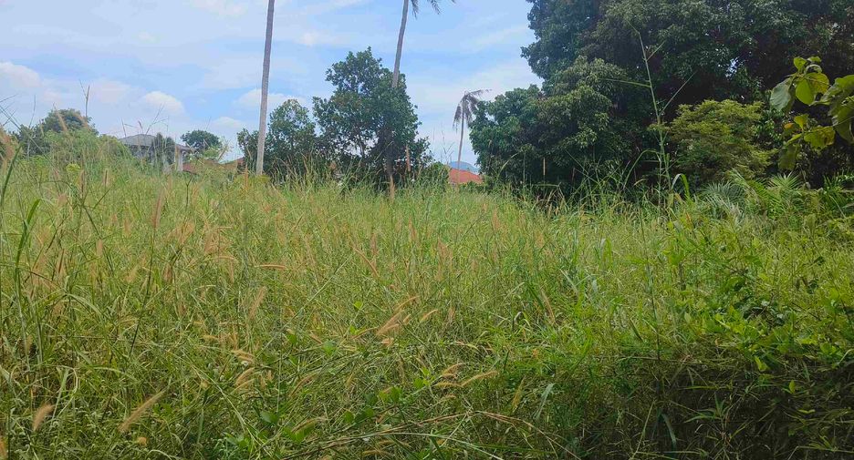 Terreno en venta en Ban Chang, Rayong