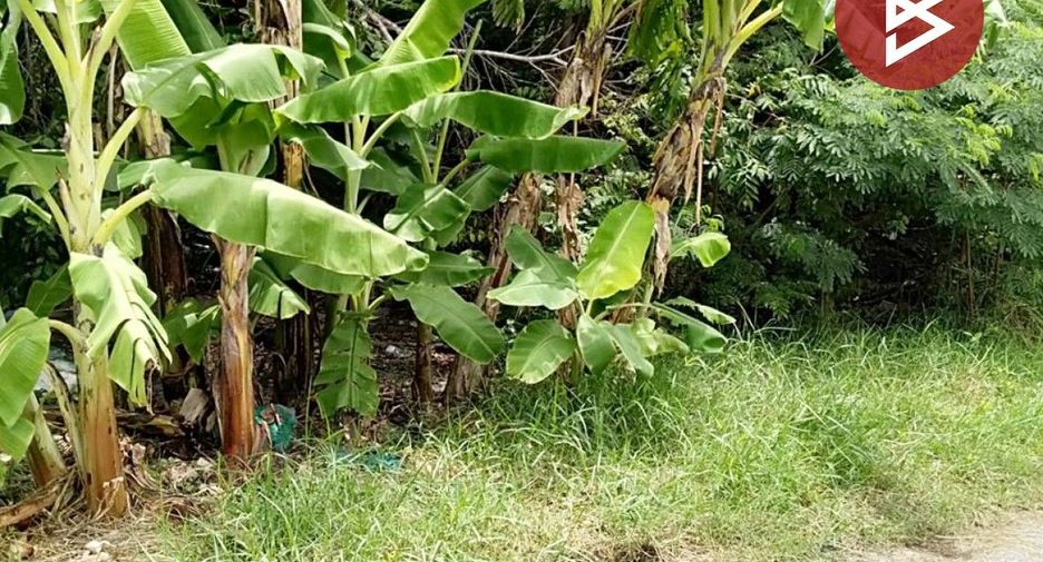 For sale land in Bang Phli, Samut Prakan
