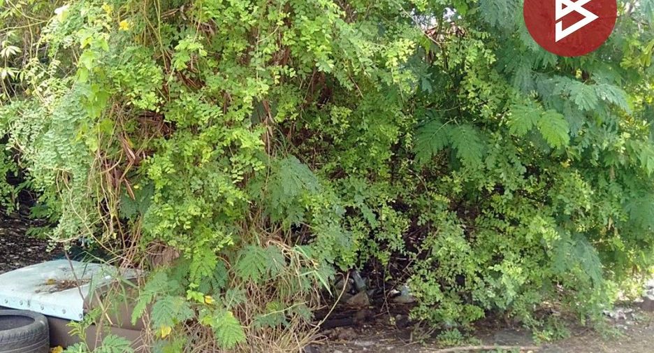 For sale land in Bang Phli, Samut Prakan