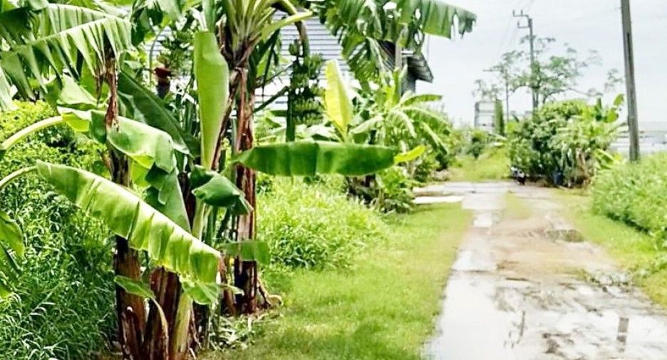 For sale land in Bang Phli, Samut Prakan