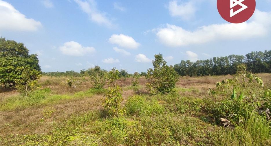 出售 土地 在 Khlung, Chanthaburi
