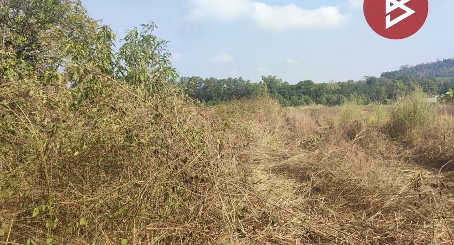 出售 土地 在 Khlung, Chanthaburi