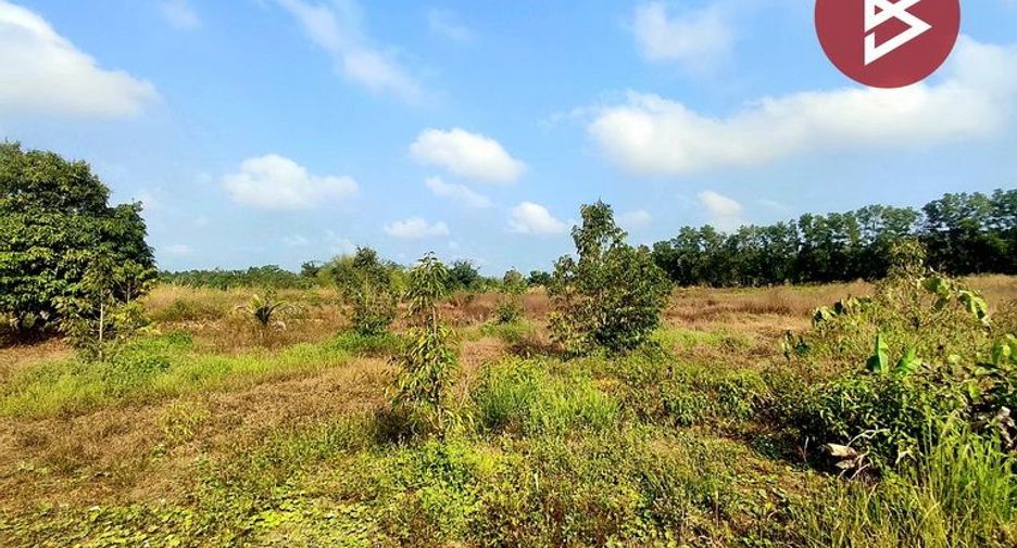For sale land in Khlung, Chanthaburi
