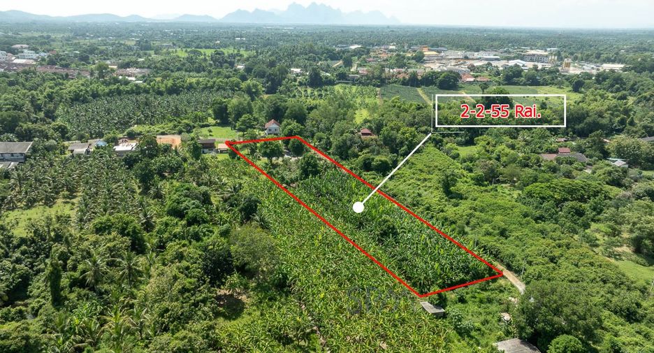 À vendre 1 chambre villa à Pran Buri, Prachuap Khiri Khan