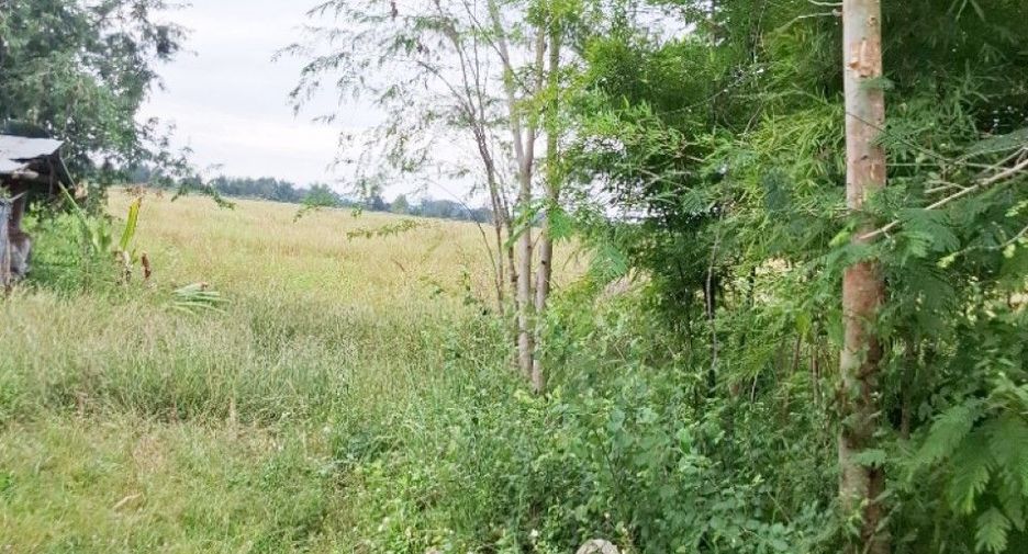 For sale land in Phaya Mengrai, Chiang Rai