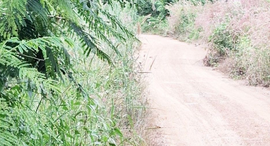 For sale land in Phaya Mengrai, Chiang Rai
