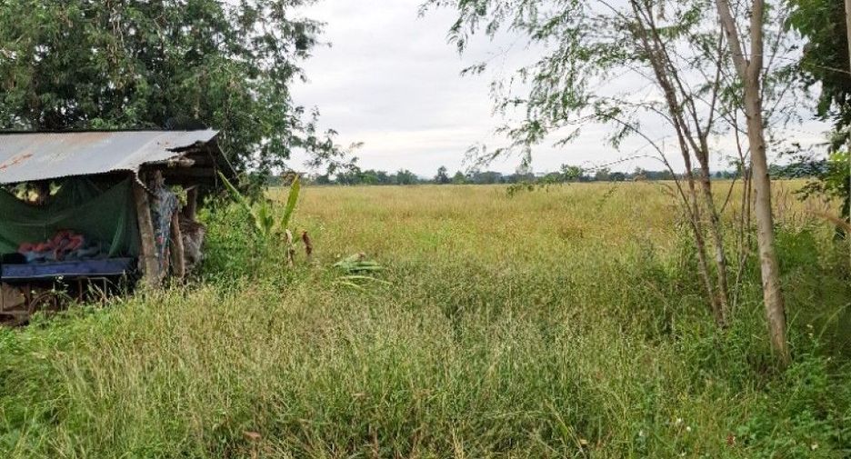 For sale land in Phaya Mengrai, Chiang Rai