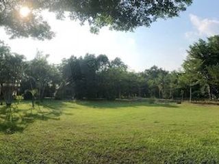For sale land in Mueang Prachinburi, Prachin Buri