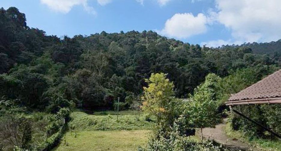 For rent and for sale 2 bedrooms house in Mae Rim, Chiang Mai