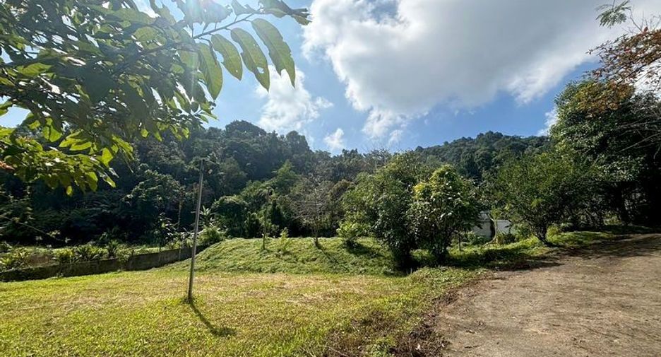 For rent and for sale 2 bedrooms house in Mae Rim, Chiang Mai