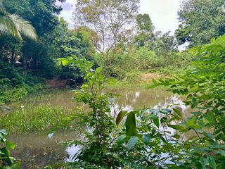 Grundstück zum Kauf in Phanom Sarakham, Chachoengsao