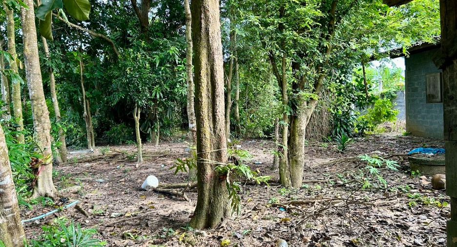 Grundstück zum Kauf in Phanom Sarakham, Chachoengsao