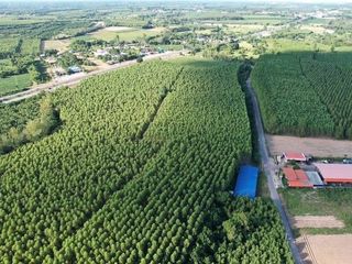 Grundstück zum Kauf in Phanom Sarakham, Chachoengsao