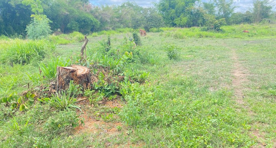 For sale land in Khok Pho, Khon Kaen