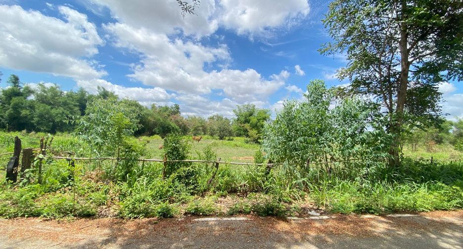 For sale land in Khok Pho, Khon Kaen