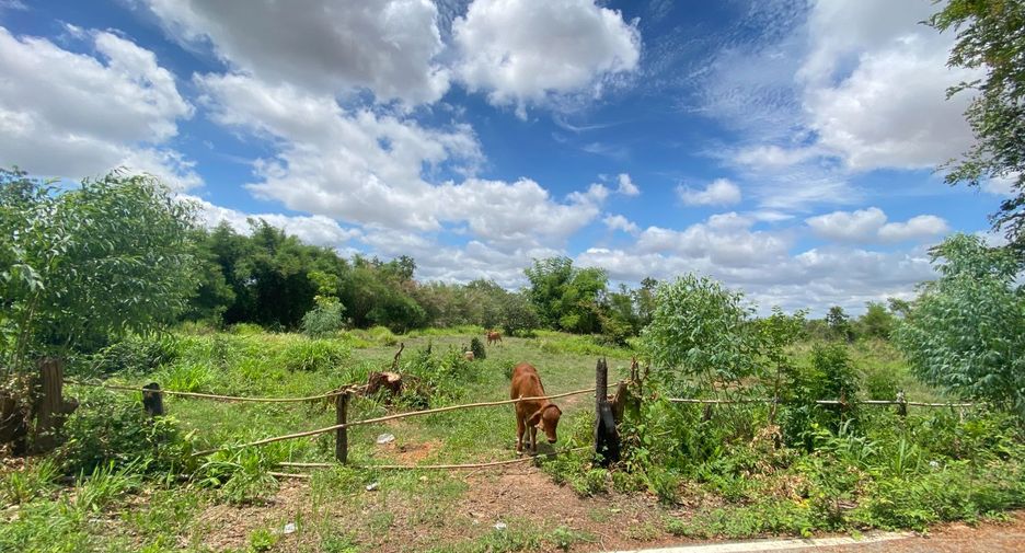 For sale land in Khok Pho, Khon Kaen