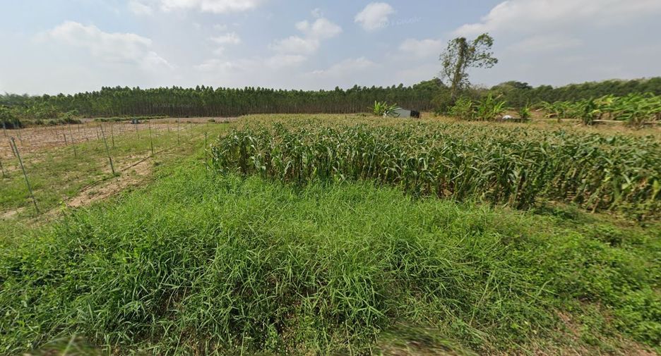 Terreno en venta en Plaeng Yao, Chachoengsao