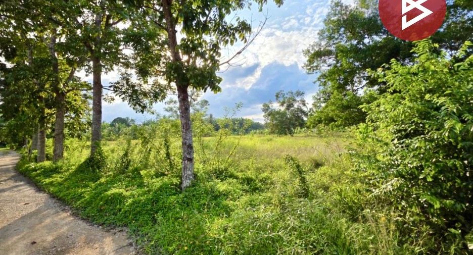 For sale land in Mueang Chumphon, Chumphon