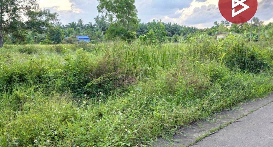 For sale land in Mueang Chumphon, Chumphon