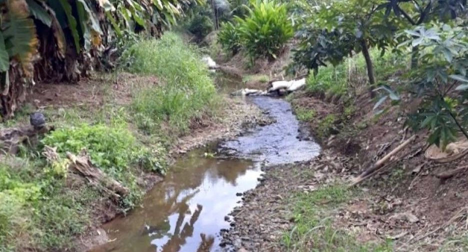 For sale land in Phrao, Chiang Mai