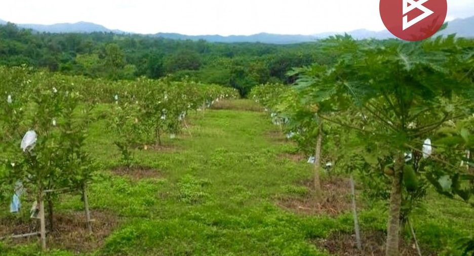 For sale land in Phrao, Chiang Mai