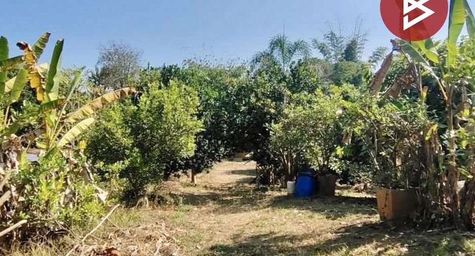 For sale land in Phrao, Chiang Mai