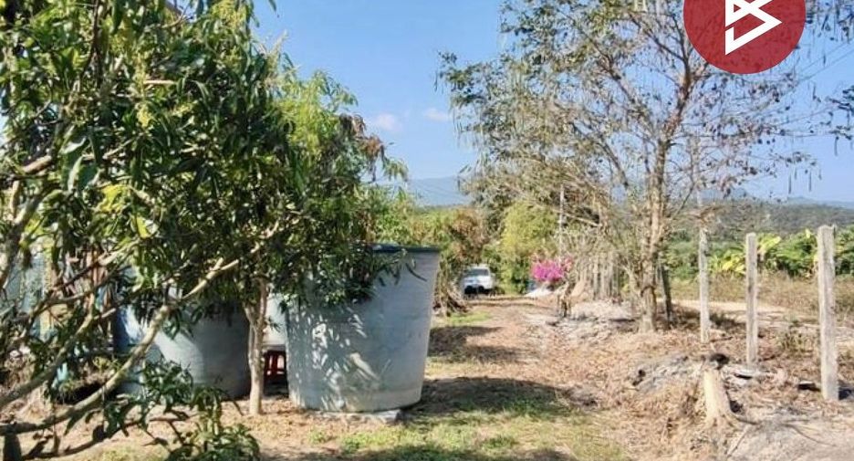 For sale land in Phrao, Chiang Mai