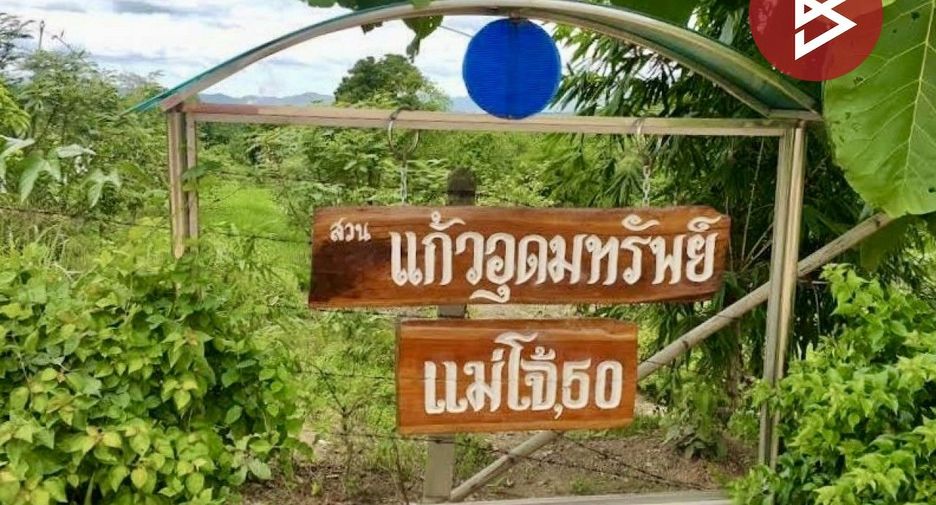 For sale land in Phrao, Chiang Mai
