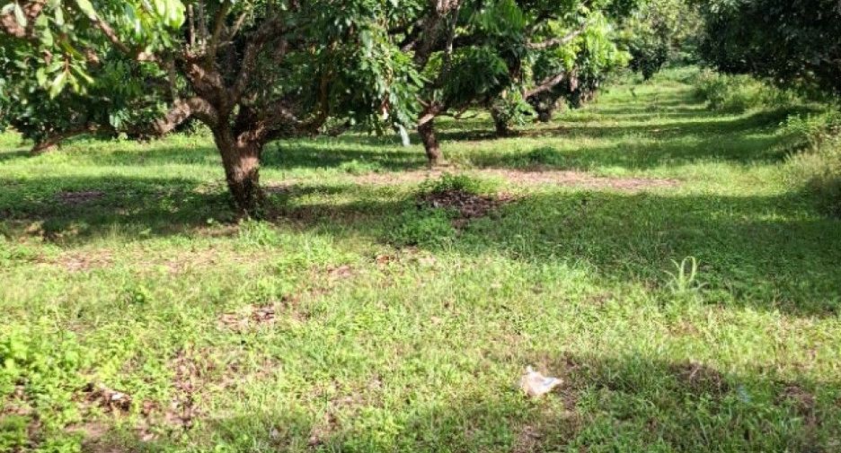 For sale land in Khun Tan, Chiang Rai