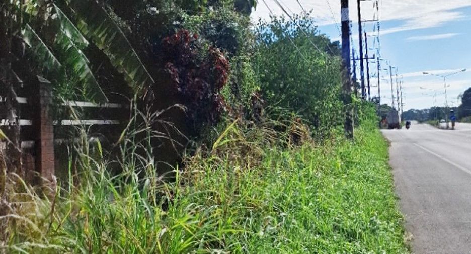 For sale land in Khun Tan, Chiang Rai