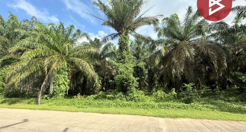 For sale land in Tha Sae, Chumphon
