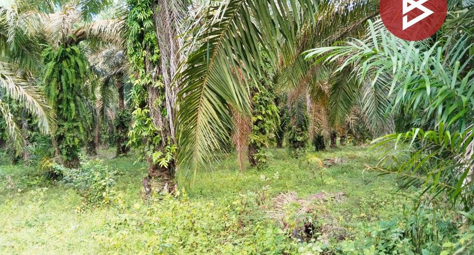 For sale land in Tha Sae, Chumphon