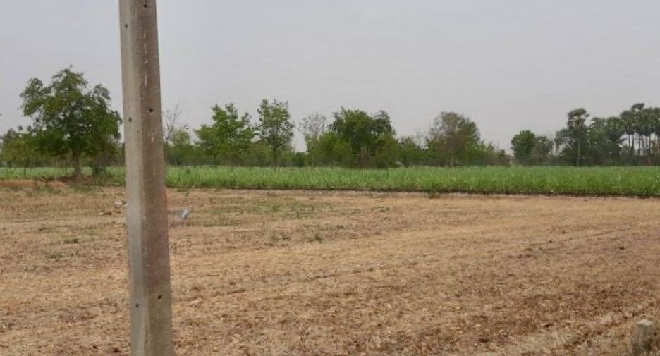 For sale land in Don Chedi, Suphan Buri