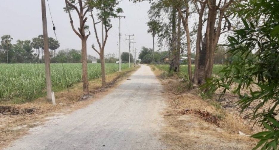 For sale land in Don Chedi, Suphan Buri