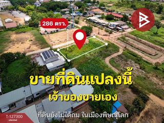 ขาย ที่ดิน ใน เมืองพิษณุโลก, พิษณุโลก