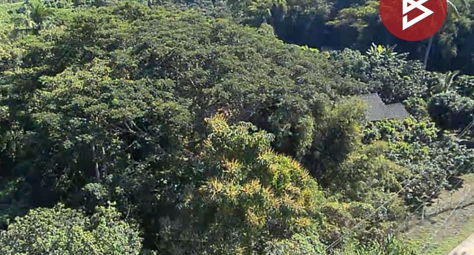 Terreno en venta en Mae Taeng, Chiang Mai